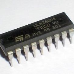 FEC-EGYPT